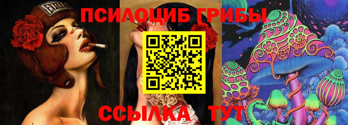 Сатка  Галлюциногенные грибы Psilocybe  Вход с VPN 